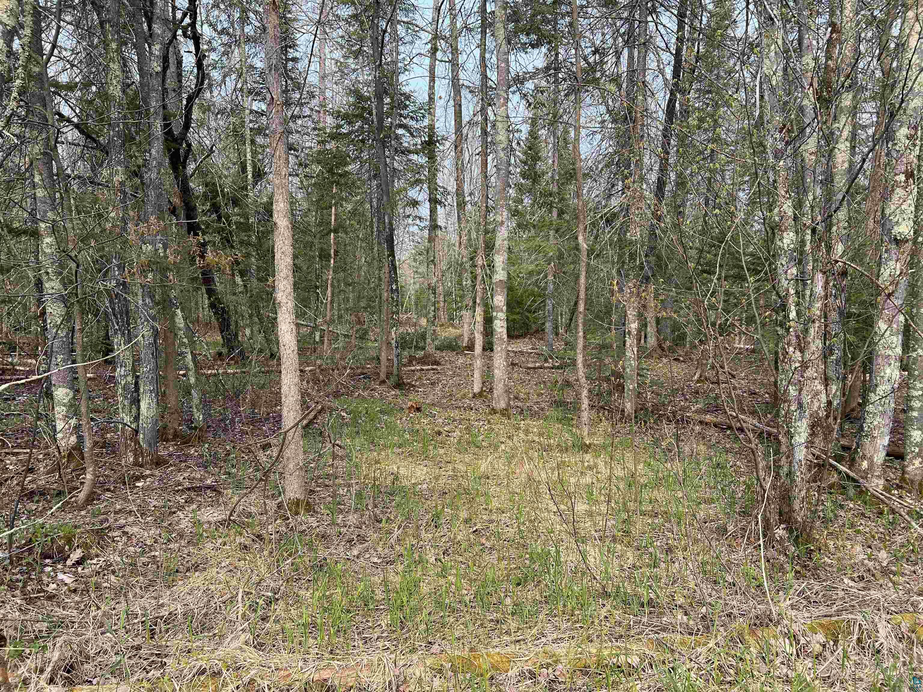 82285 Morrison Road Port Wing, WI 54865 - Photo 14 of 40