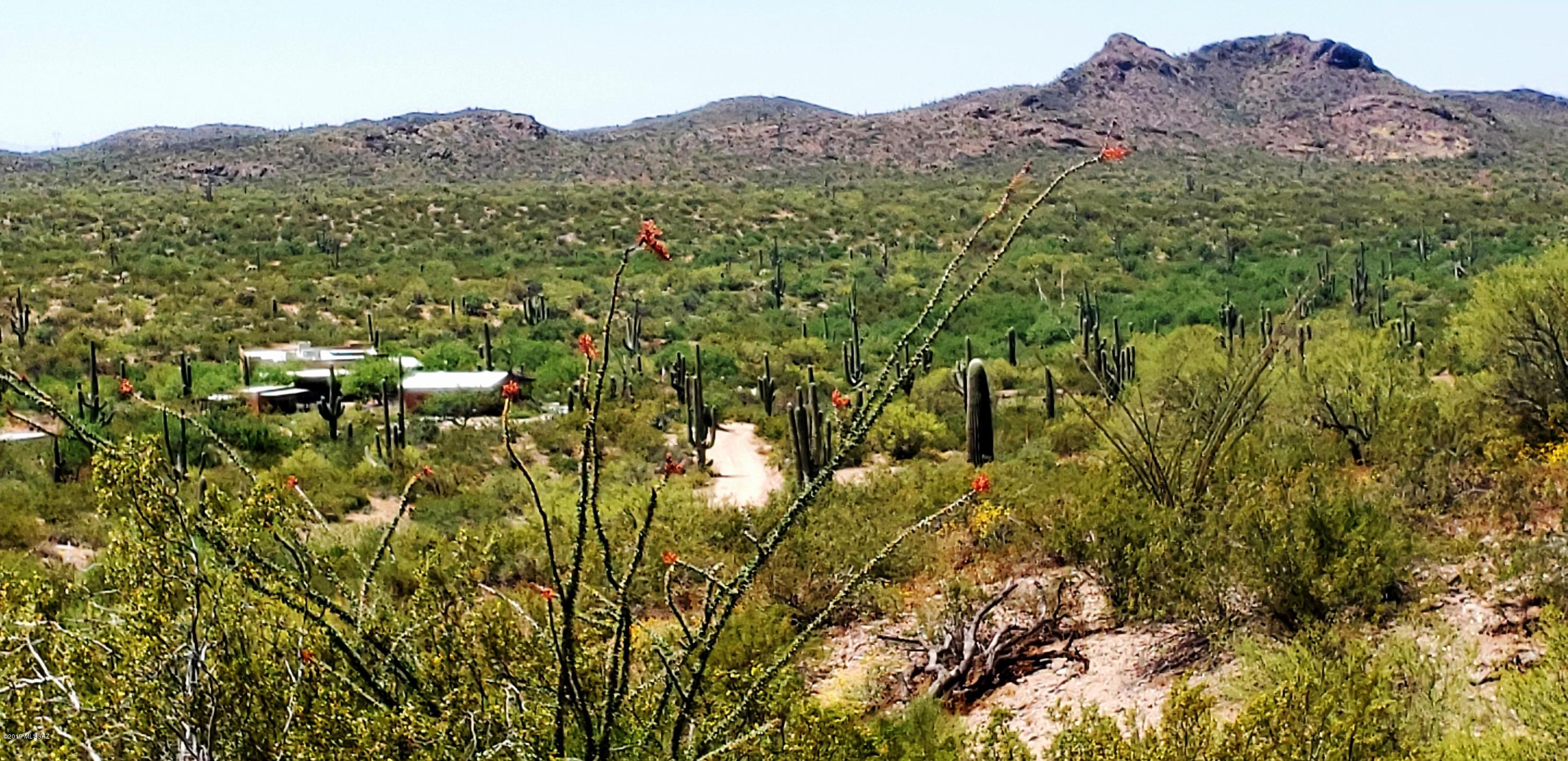 Tbd South Blazed Ridge Road, Unit C2 Tucson, AZ 85739 - Photo 16 of 37