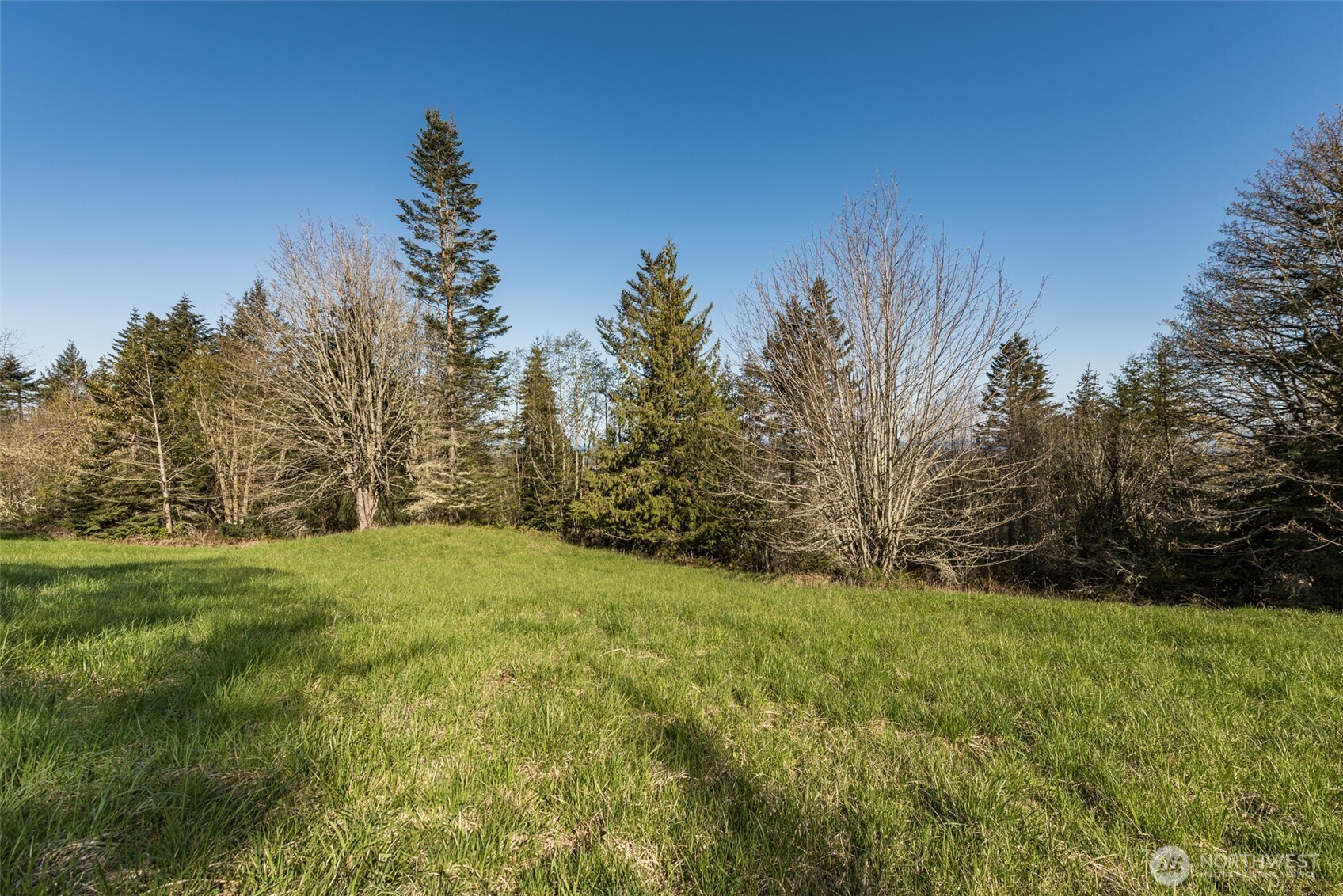 999 Ravens Ridge Road Sequim, WA 98382 - Photo 11 of 40 a view of a big yard with large trees