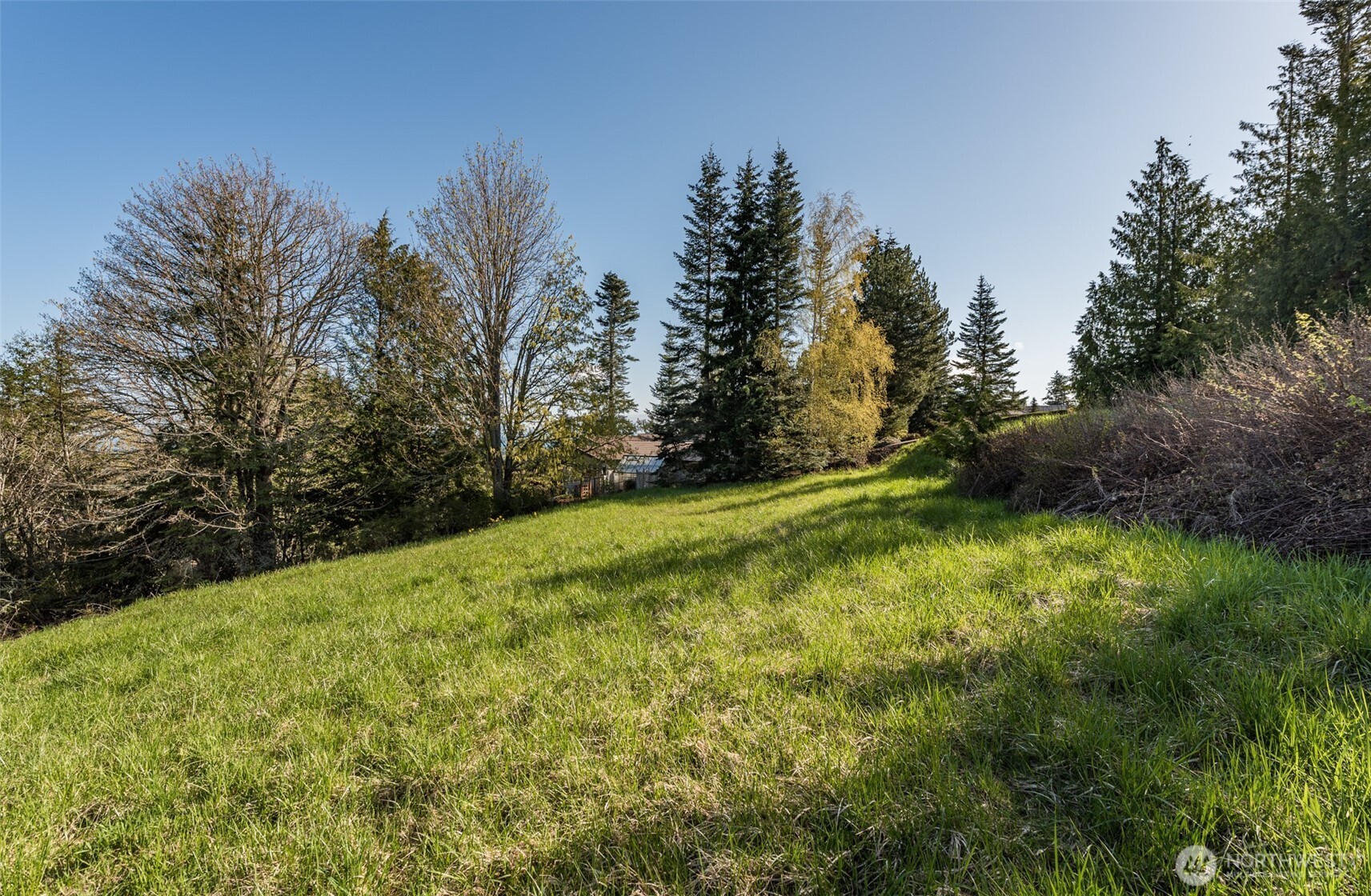 999 Ravens Ridge Road Sequim, WA 98382 - Photo 12 of 40 a backyard of a house with lots of green space