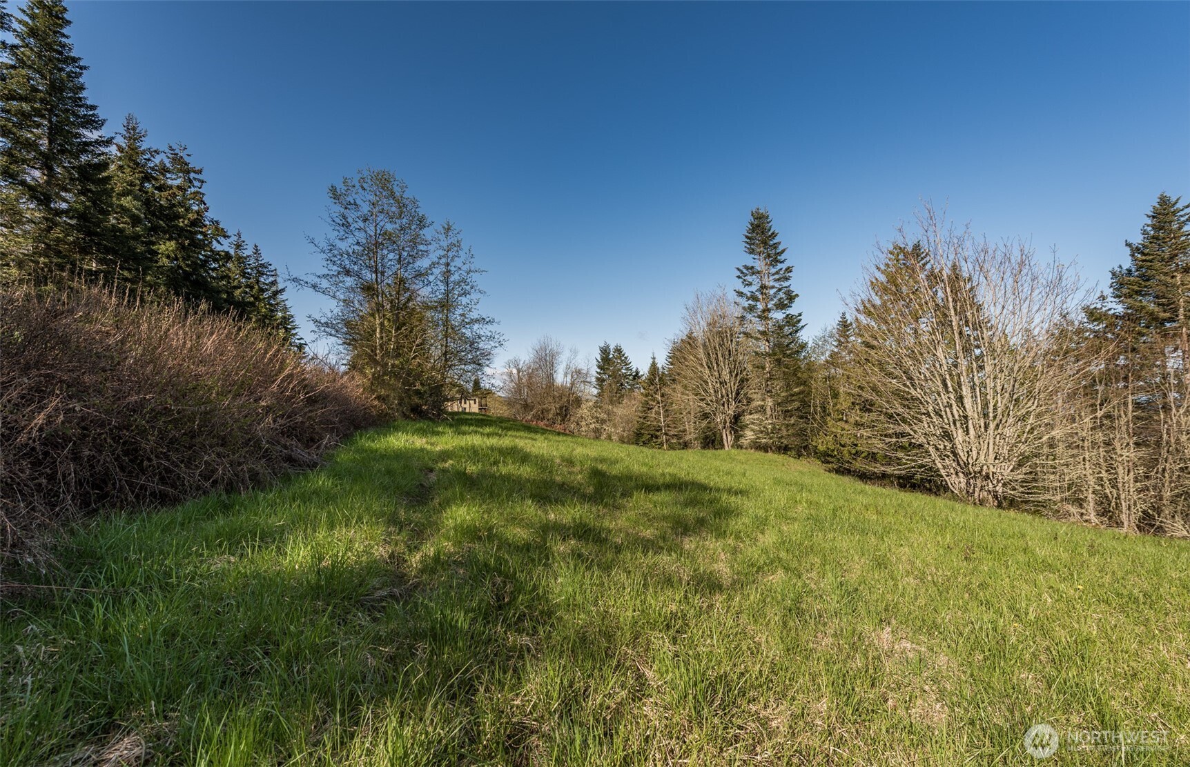999 Ravens Ridge Road Sequim, WA 98382 - Photo 13 of 40 a view of a grassy field with trees in the background