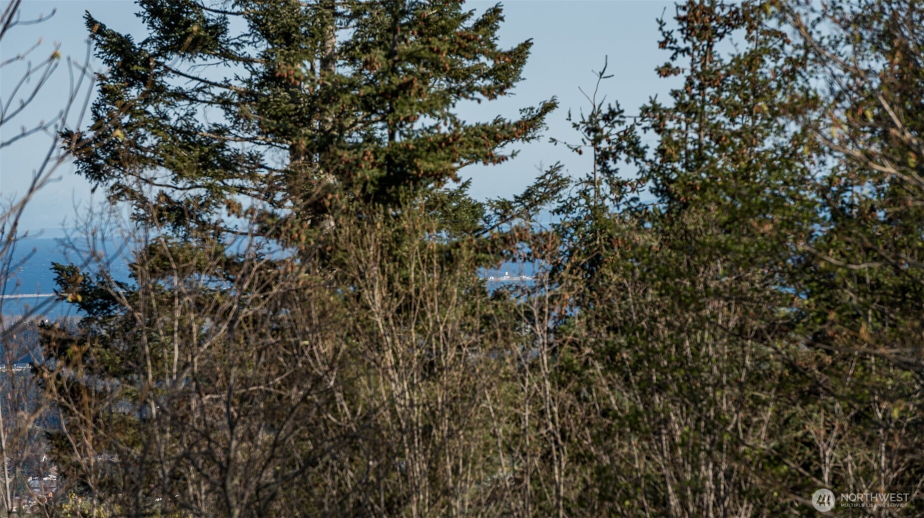 999 Ravens Ridge Road Sequim, WA 98382 - Photo 14 of 40 a view of a tree