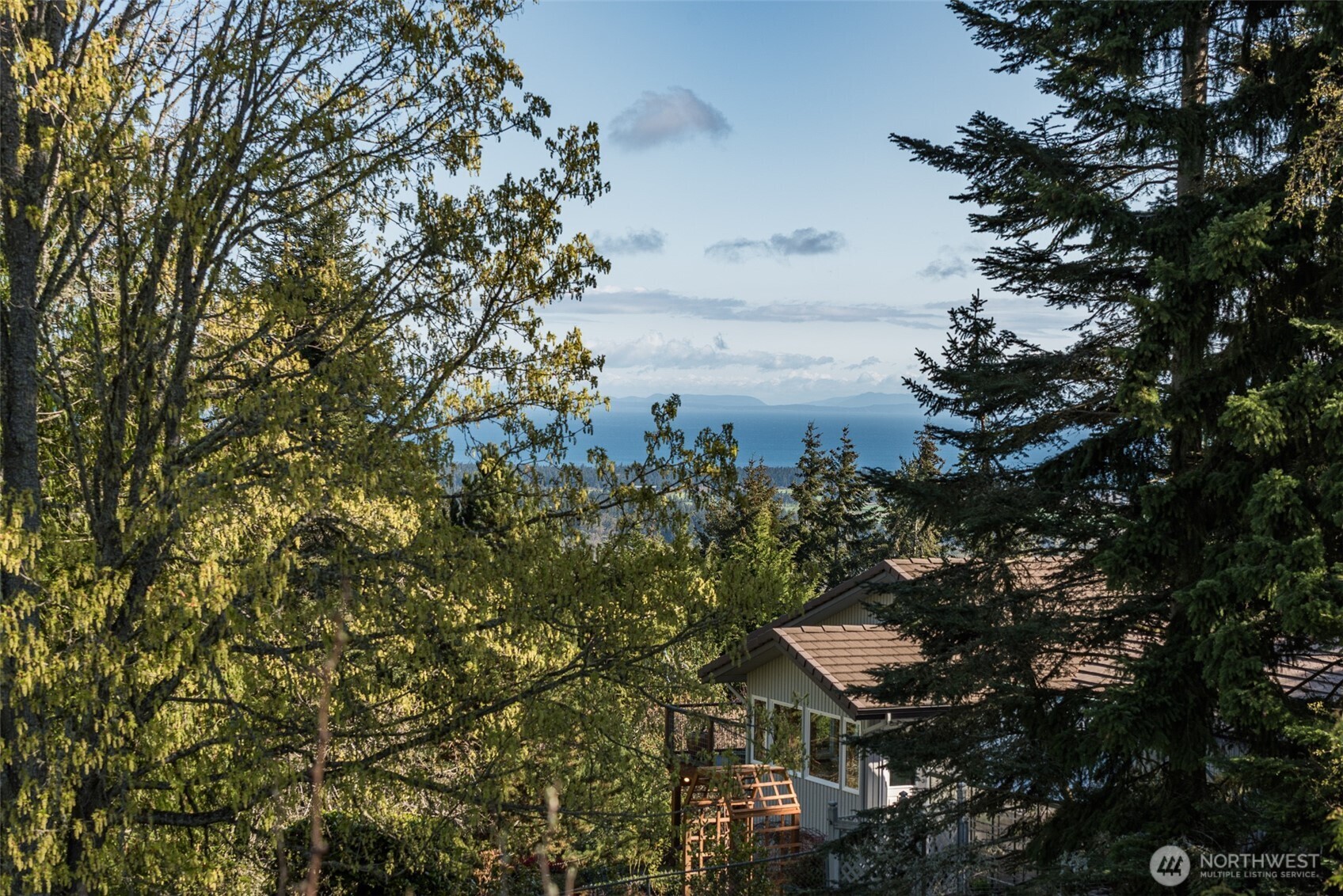 999 Ravens Ridge Road Sequim, WA 98382 - Photo 17 of 40 a picture of tree