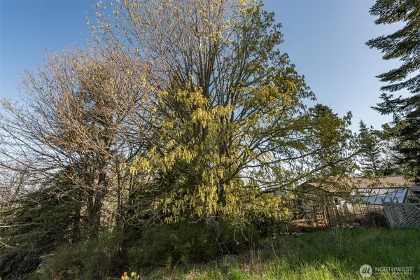 a view of a yard with an outdoor space