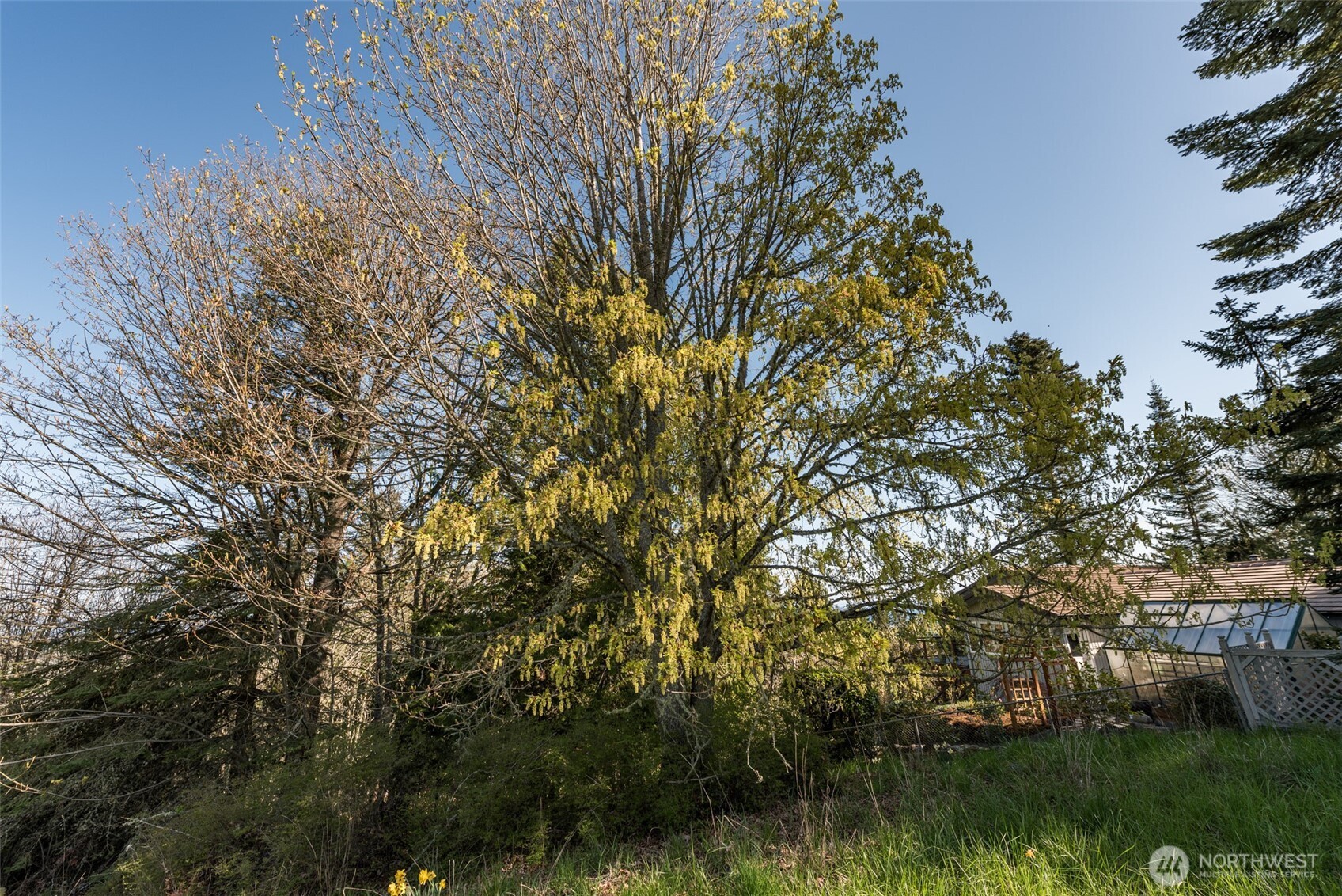 999 Ravens Ridge Road Sequim, WA 98382 - Photo 18 of 40