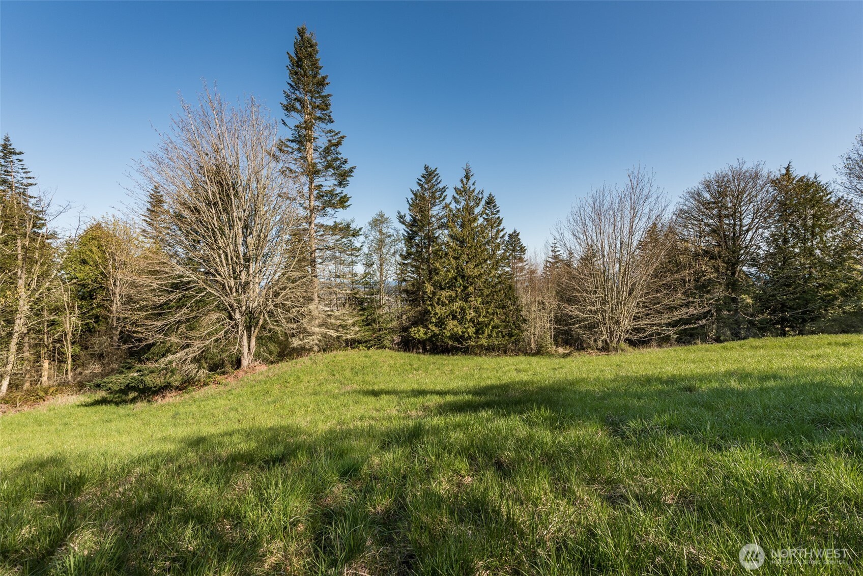 999 Ravens Ridge Road Sequim, WA 98382 - Photo 22 of 40 a fire hydrant in the middle of a field