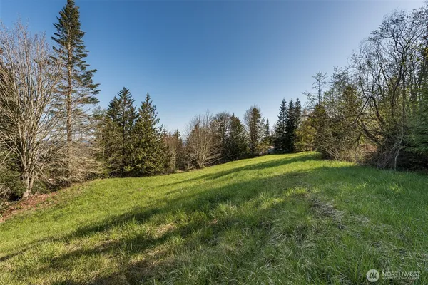 a view of a yard with an trees