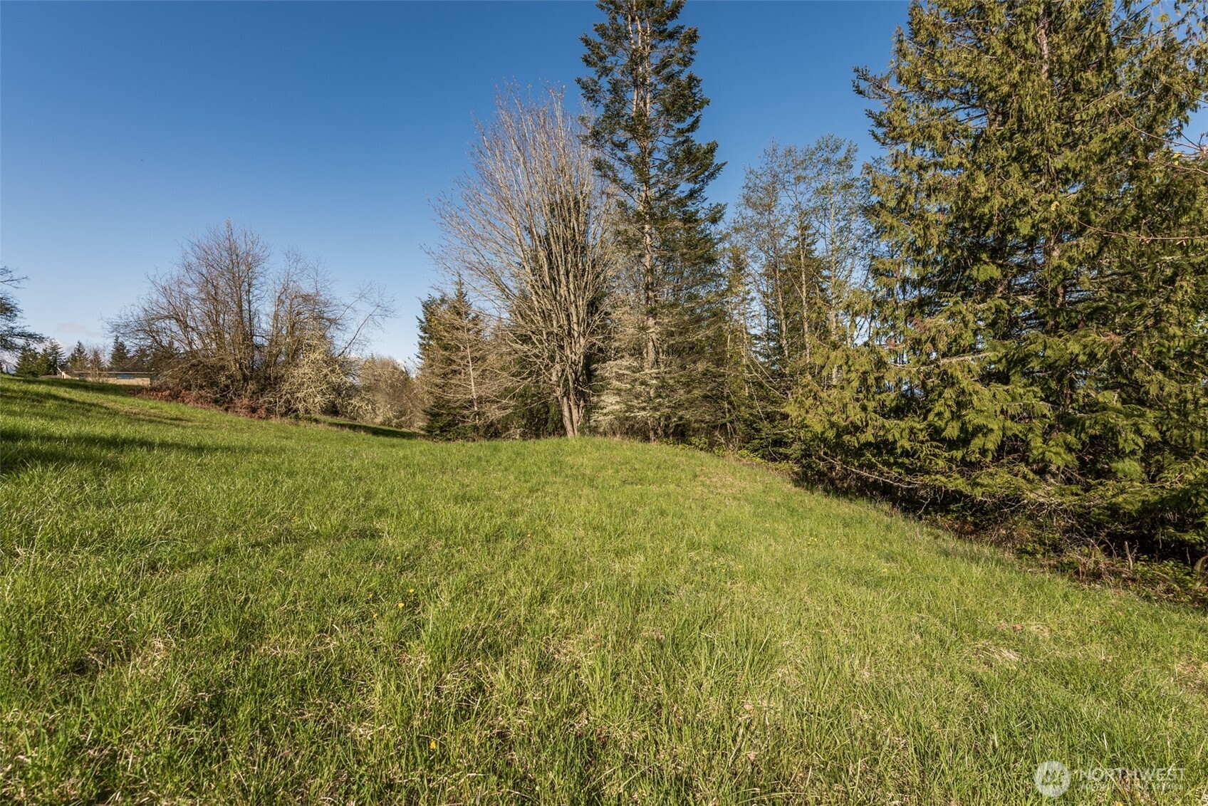 999 Ravens Ridge Road Sequim, WA 98382 - Photo 27 of 40 a view of a yard with an trees