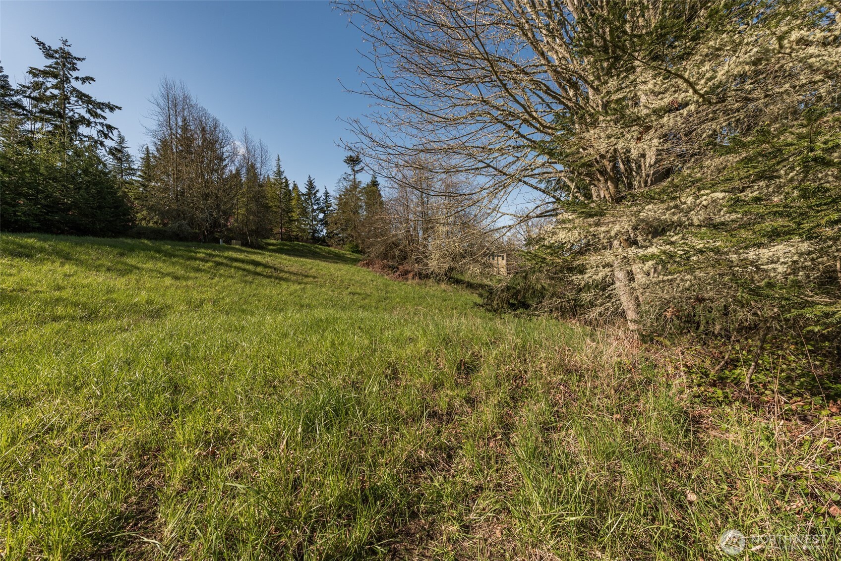 999 Ravens Ridge Road Sequim, WA 98382 - Photo 29 of 40 a view of a yard