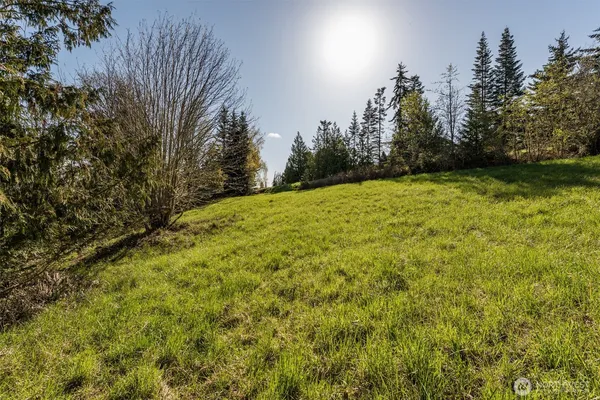 a view of a yard with a tree