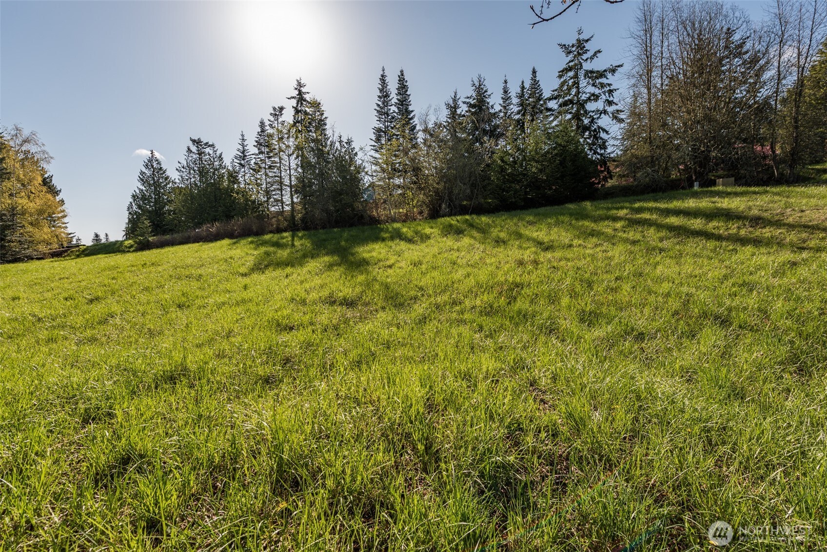999 Ravens Ridge Road Sequim, WA 98382 - Photo 31 of 40 a view of a yard with a house in the background