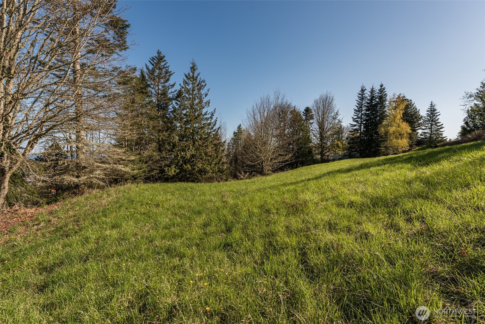 999 Ravens Ridge Road Sequim, WA 98382 - Photo 32 of 40 a view of a yard with a tree