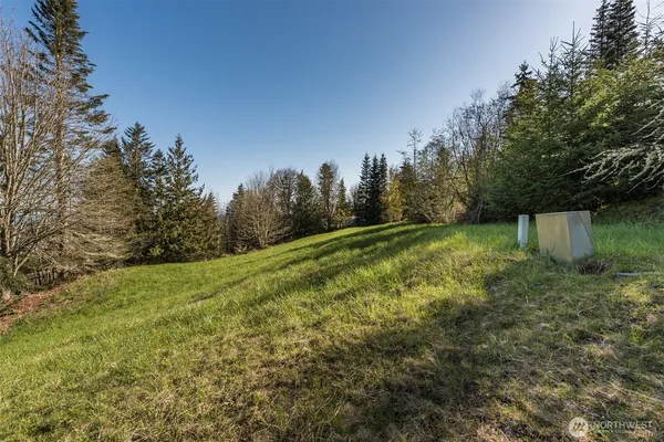 a view of a yard with plants and a trees