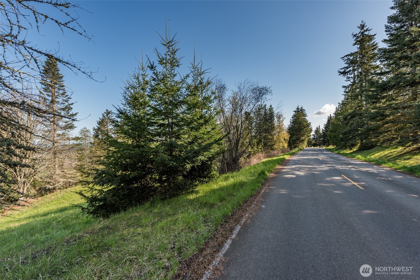 999 Ravens Ridge Road Sequim, WA 98382 - Photo 36 of 40 a view of a yard with plants and a trees