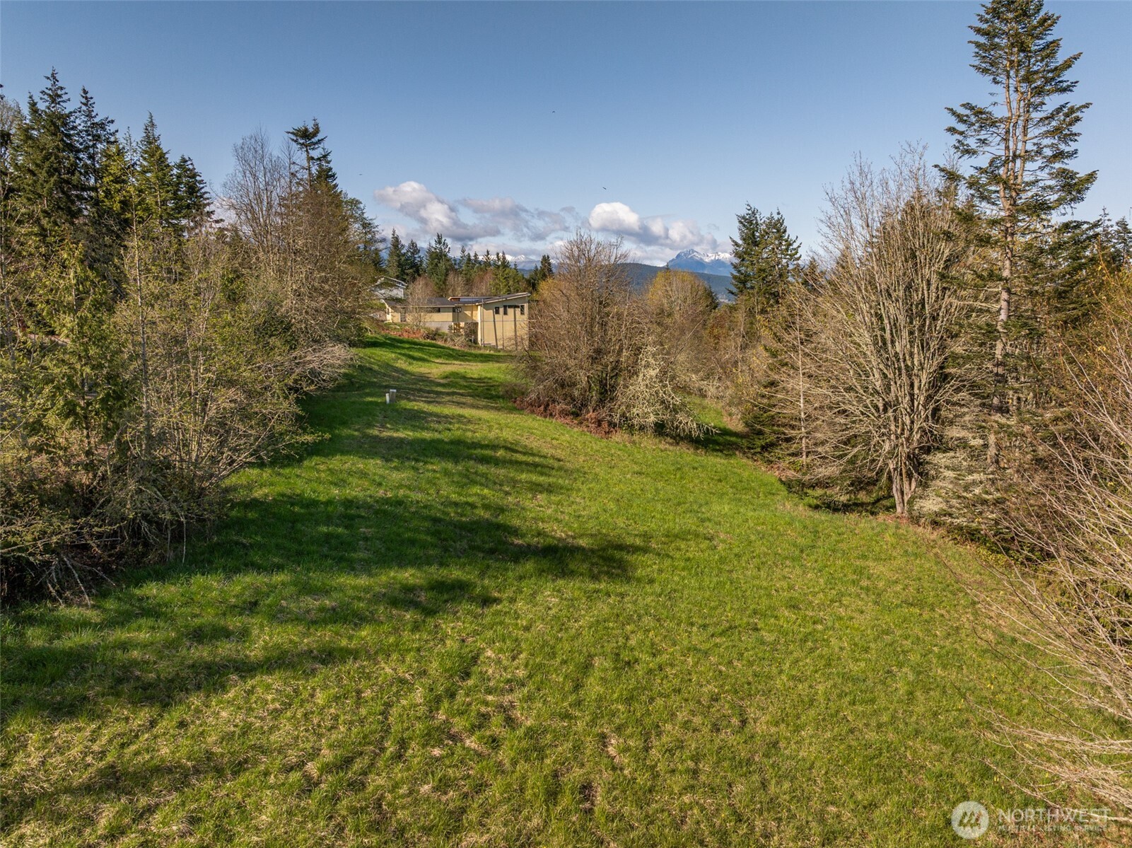 999 Ravens Ridge Road Sequim, WA 98382 - Photo 5 of 40 a view of a big yard with swimming pool and trees