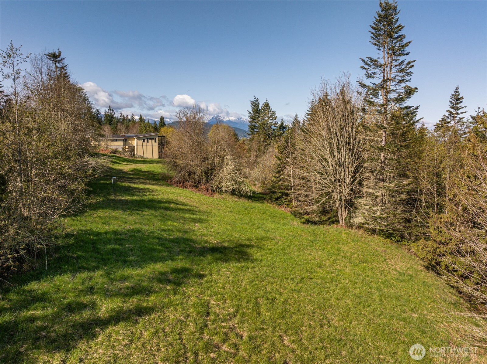 999 Ravens Ridge Road Sequim, WA 98382 - Photo 8 of 40 a view of a big yard with large trees