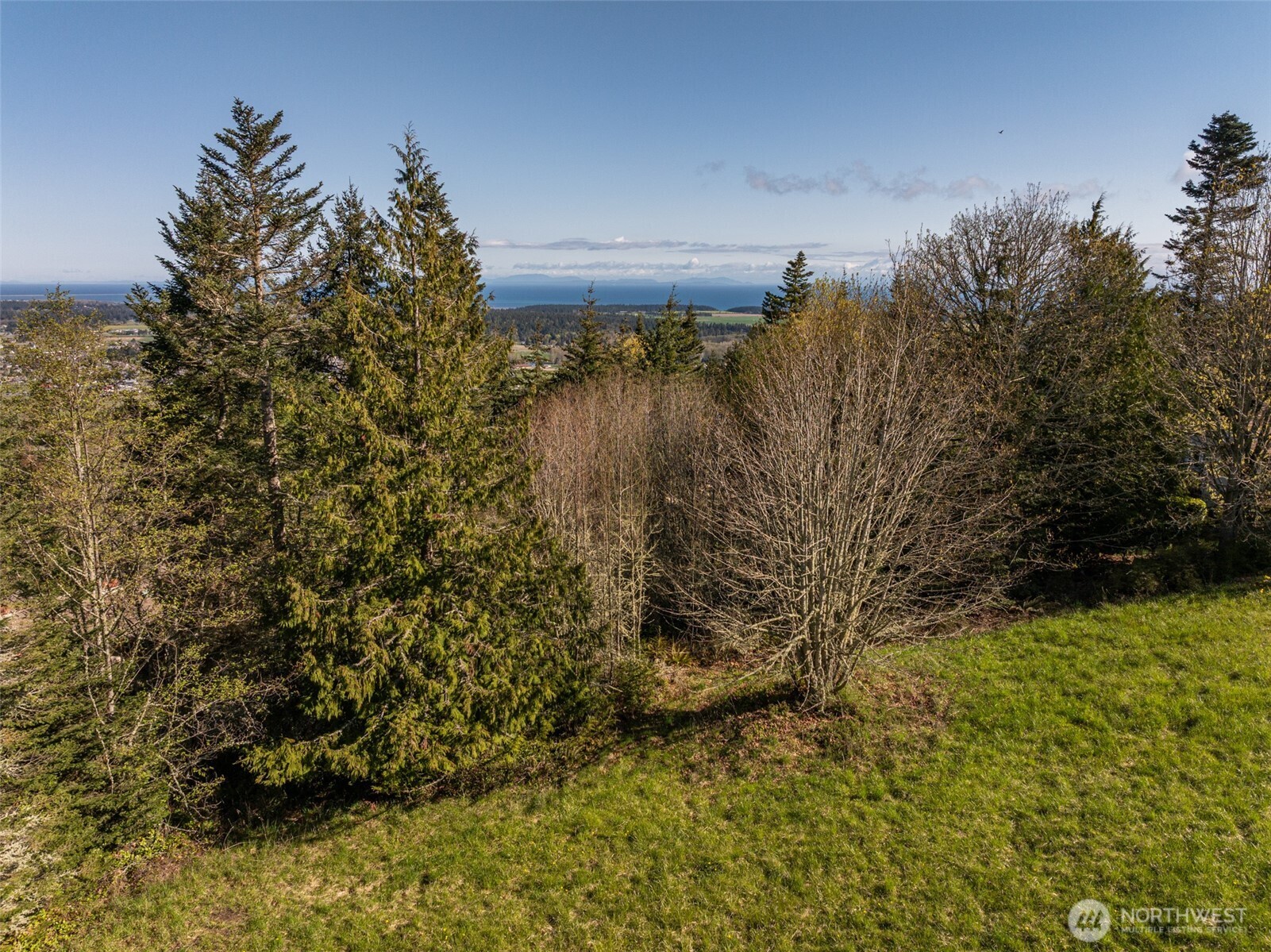 999 Ravens Ridge Road Sequim, WA 98382 - Photo 10 of 40 a view of a yard