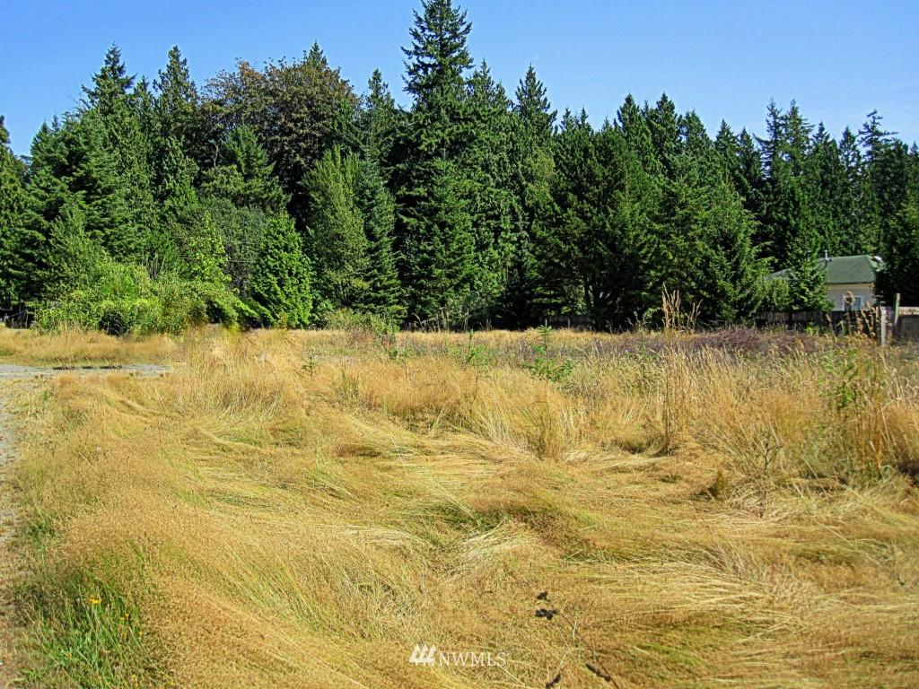 8185 Custer School Road Custer, WA 98240 - Photo 1 of 25