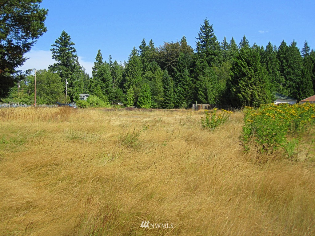 8185 Custer School Road Custer, WA 98240 - Photo 2 of 25