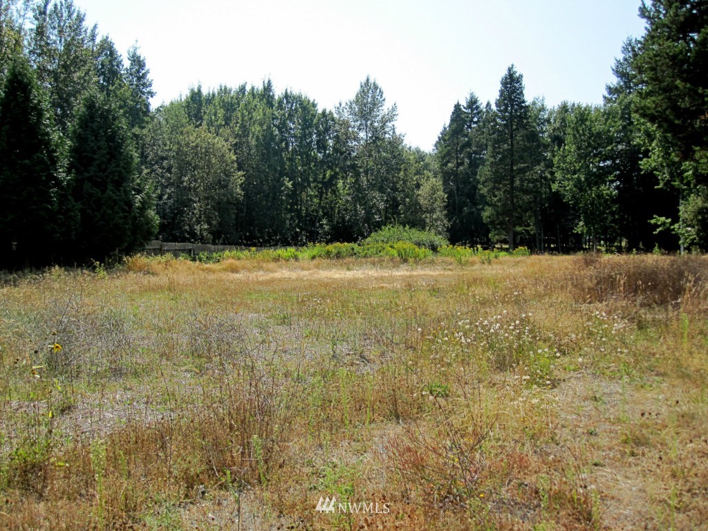 8185 Custer School Road Custer, WA 98240 - Photo 12 of 25
