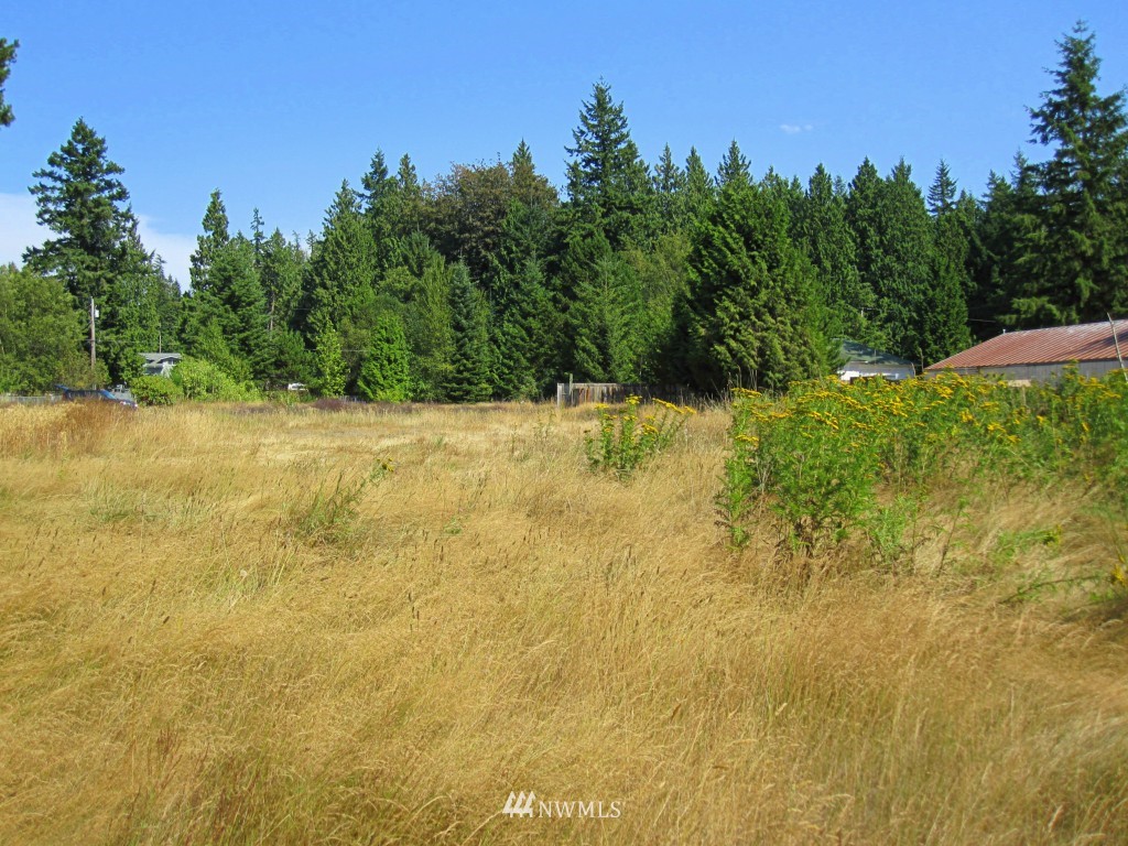 8185 Custer School Road Custer, WA 98240 - Photo 3 of 25