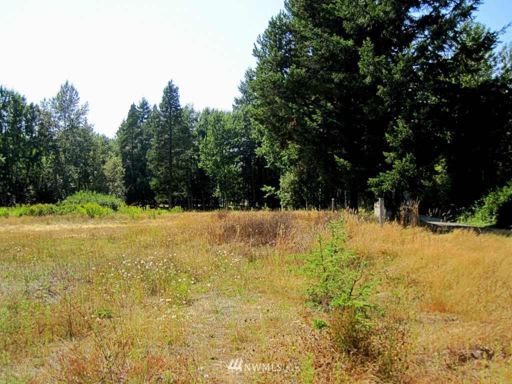 8185 Custer School Road Custer, WA 98240 - Photo 4 of 25