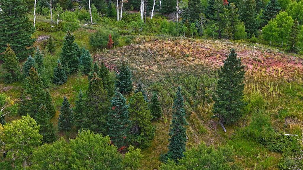 Tbd Baker Creek Road La Veta, CO 81055 - Photo 9 of 13