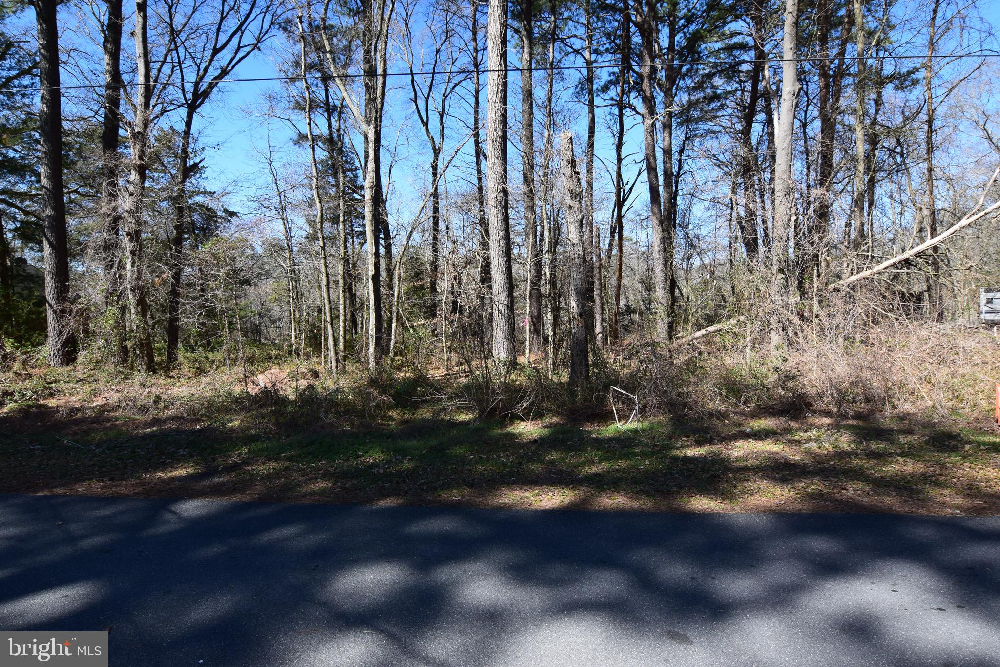 Walker Road Seaford, DE 19973 - Photo 3 of 3