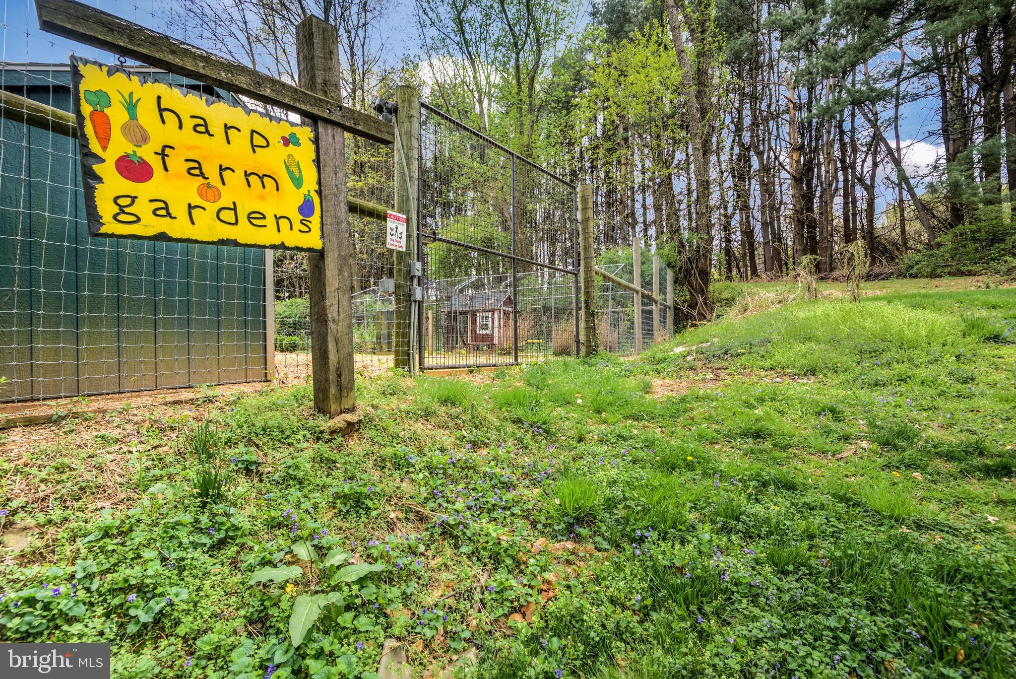 17262 Webb Road Stewartstown, PA 17363 - Photo 40 of 52 Chicken Grounds - Safe from Predators