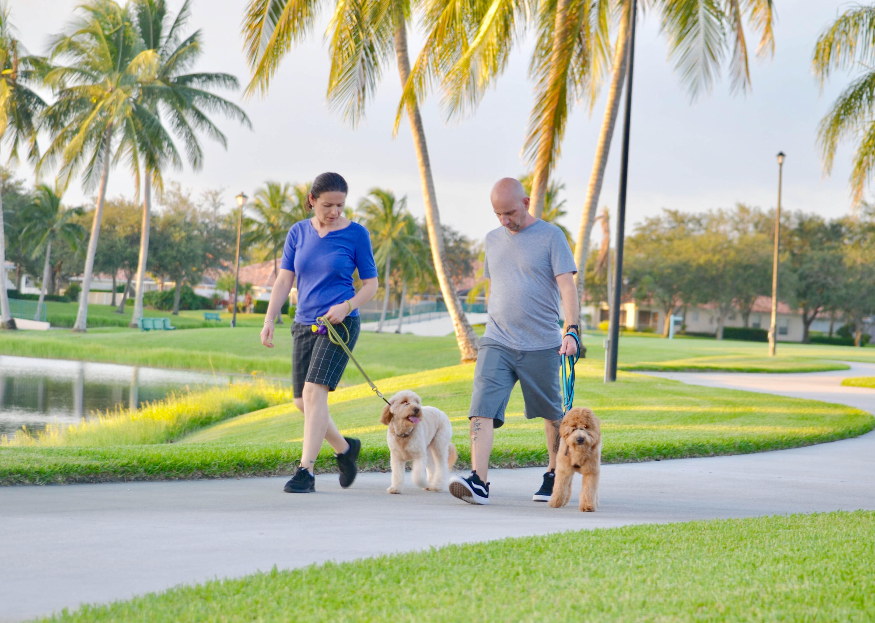 2162 Blue Springs Road West Palm Beach, FL 33411 - Photo 34 of 42 Walking dogs
