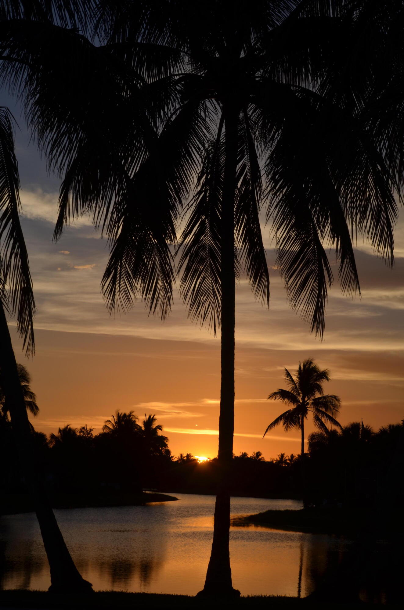 2162 Blue Springs Road West Palm Beach, FL 33411 - Photo 42 of 42 Sunset
