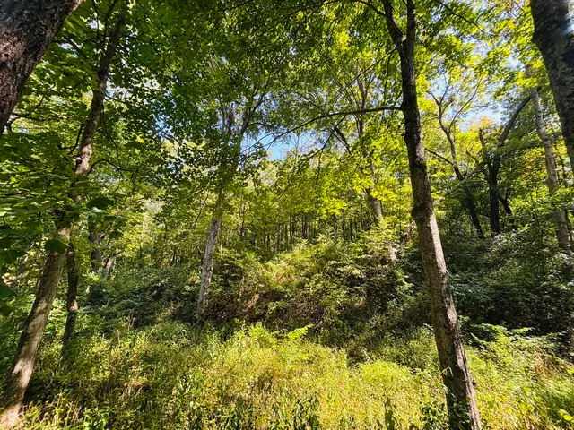 $110,000 | 6546 Highway 121, Connersville, IN 47331