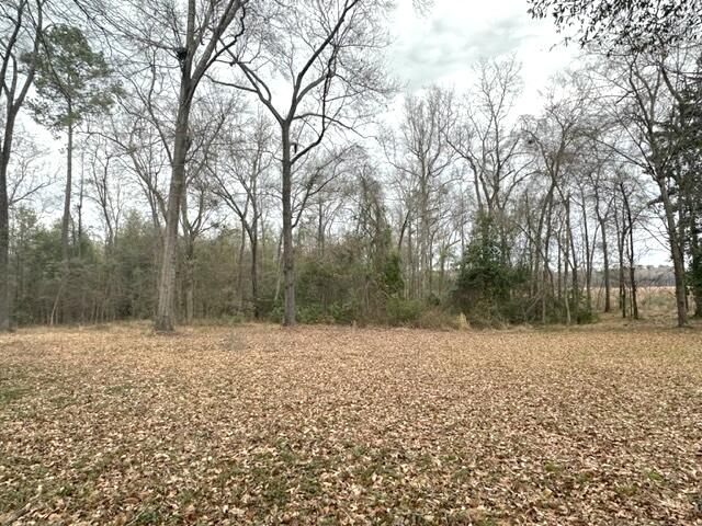 1287 Brown Road Hephzibah, GA 30815 - Photo 21 of 24 IMG_4588
