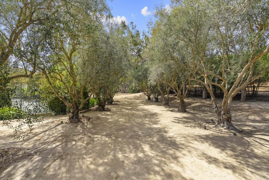 16560 El Camino Real Rancho Santa Fe, CA 92067 - Photo 13 of 25