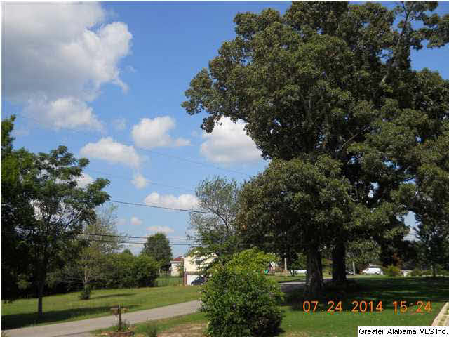 307 Hoagtown Loop Mulga, AL 35118 - Photo 32 of 32