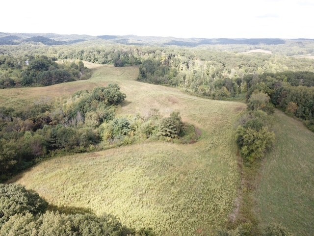 0 Roningen Road Black River Falls, WI 54615 - Photo 5 of 17