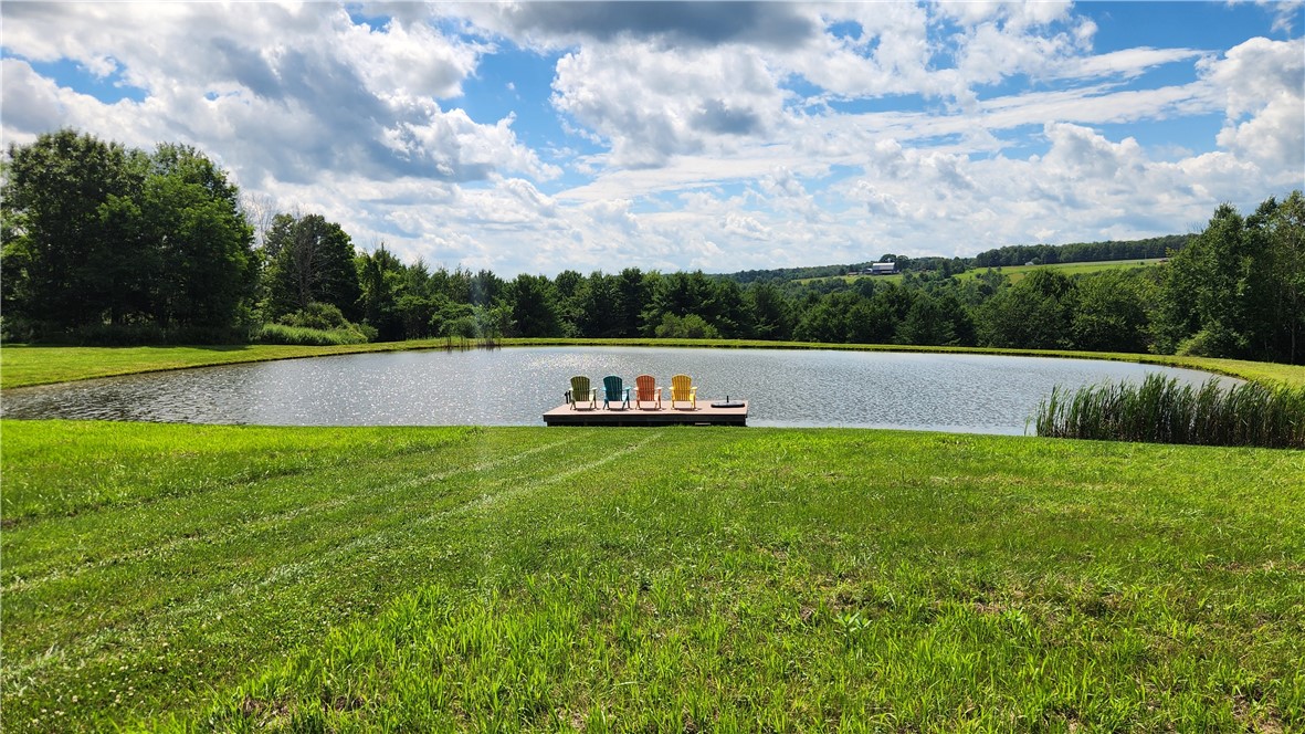 351 Clancy Road Greenwood, NY 14806 - Photo 9 of 50 Gallery Image 9