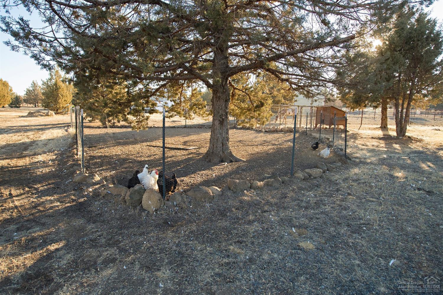 13650 Southwest Chipmunk Road Terrebonne, OR 97760 - Photo 21 of 25 Additional Photo