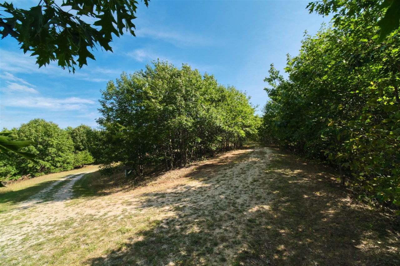 Arcadia Ridge Drive Onekama, MI 49675 - Photo 25 of 52