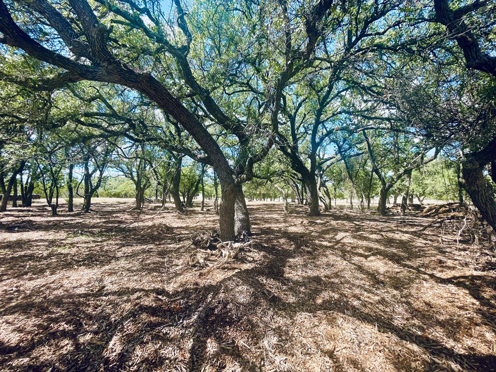 233 Towhead Valley Road Johnson City, TX 78636 - Photo 3 of 12