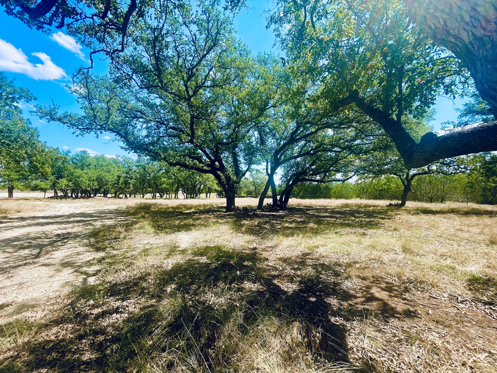233 Towhead Valley Road Johnson City, TX 78636 - Photo 8 of 12