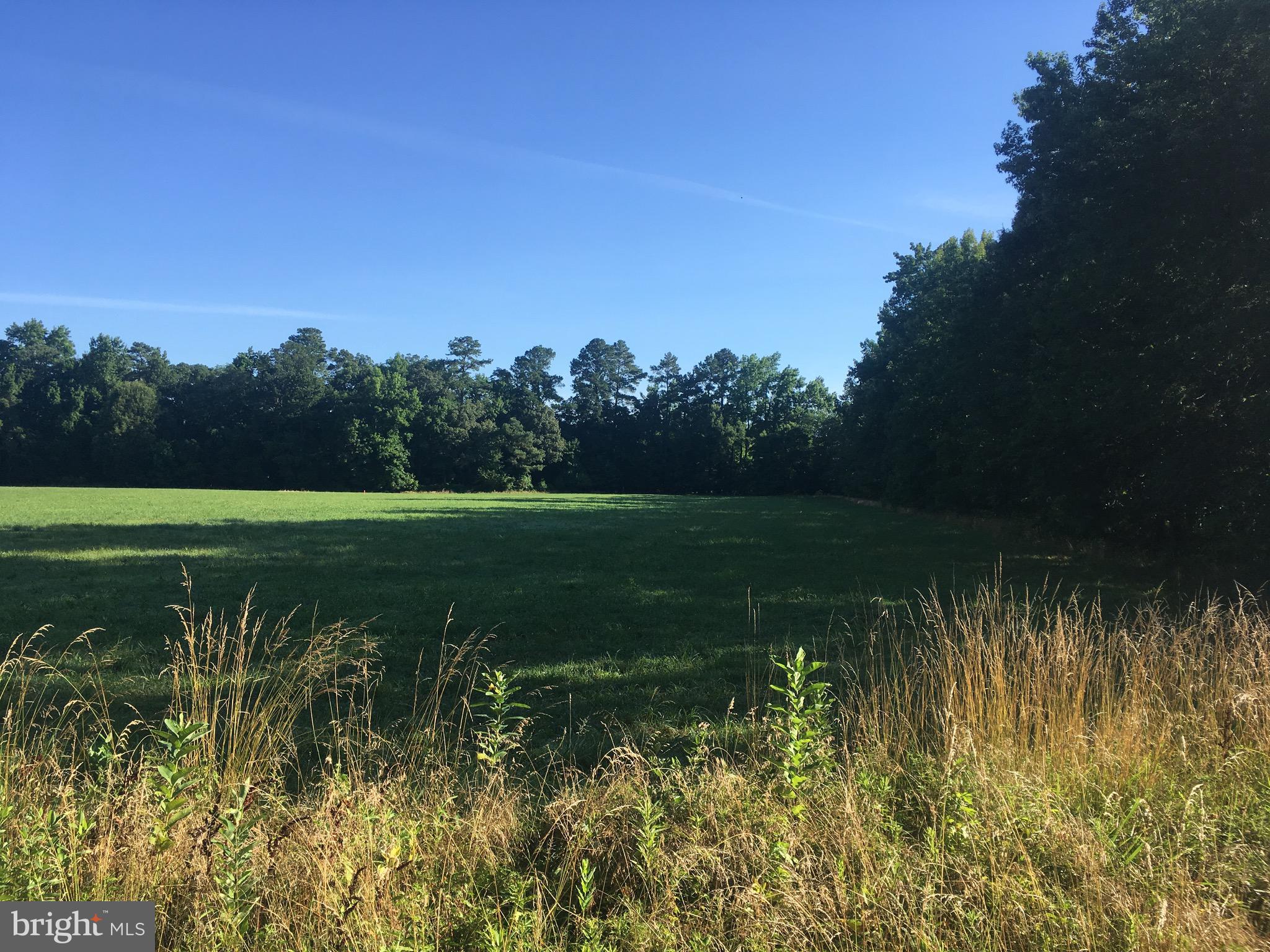 0 Pealiquor Road Denton, MD 21629 - Photo 1 of 1