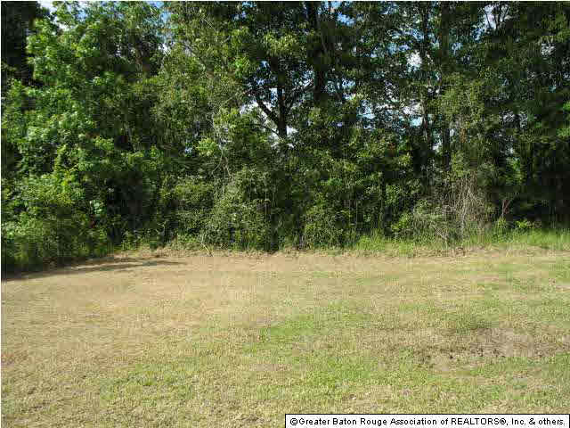 39444 Germany Road Prairieville, LA 70769 - Photo 8 of 21 Gallery Image 8
