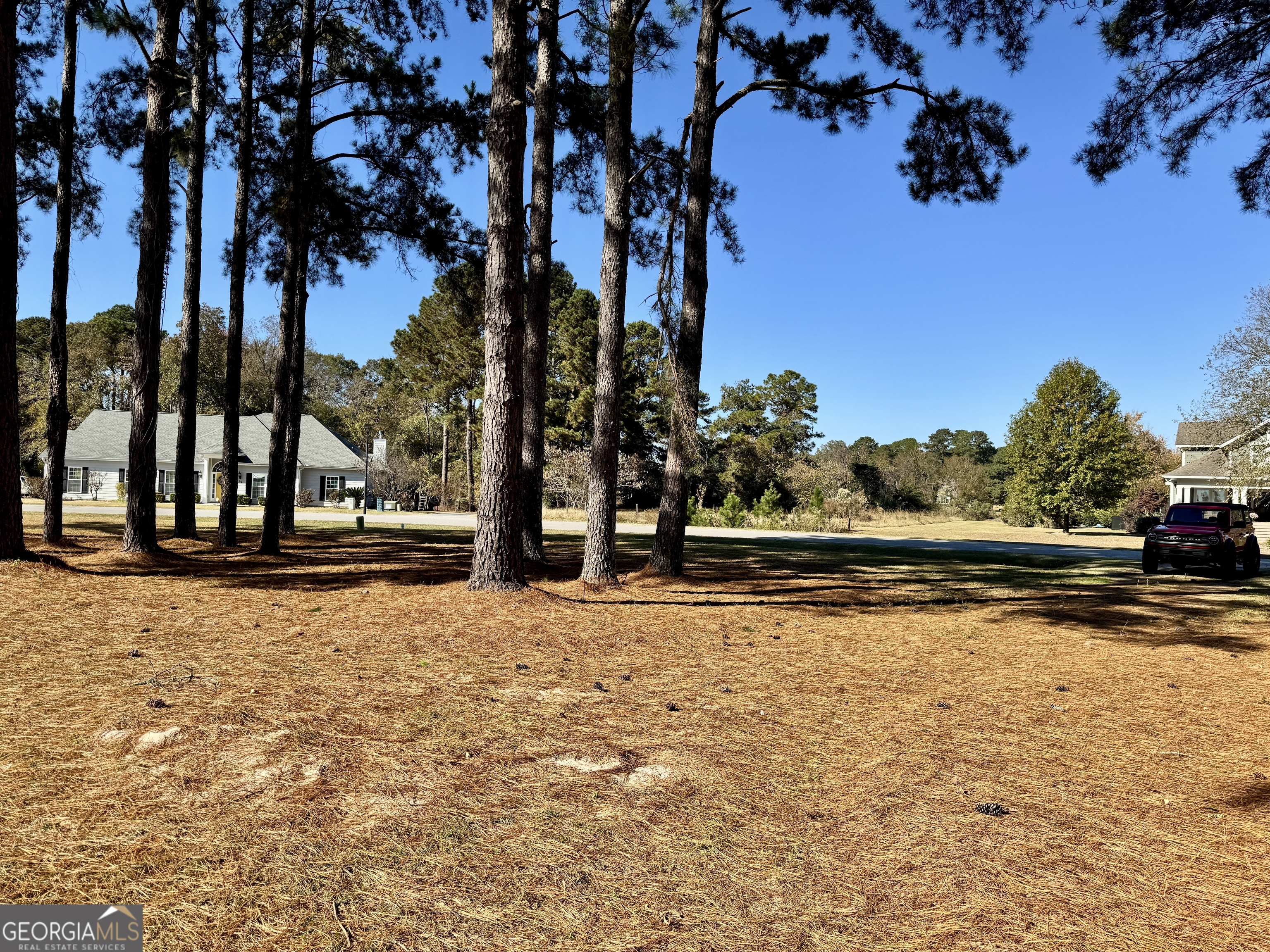 49 Aberdeen Circle Cordele, GA 31015 - Photo 63 of 63 a view of lake view