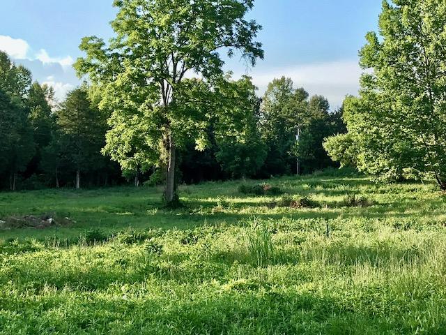 IMG_2751