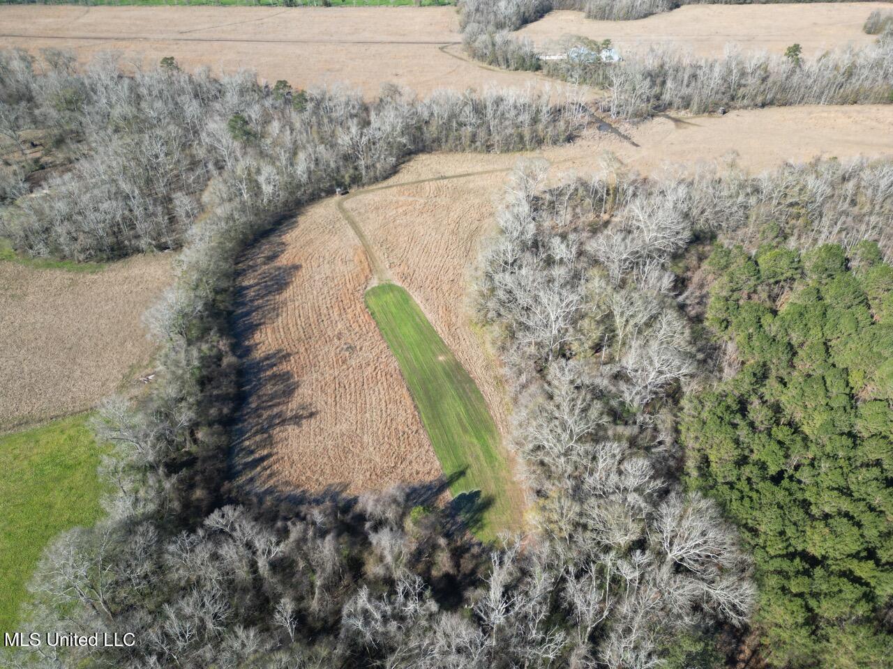 11311 Port Hudson-Pride Road Zachary, LA 70791 - Photo 11 of 41 DJI_0206 Large