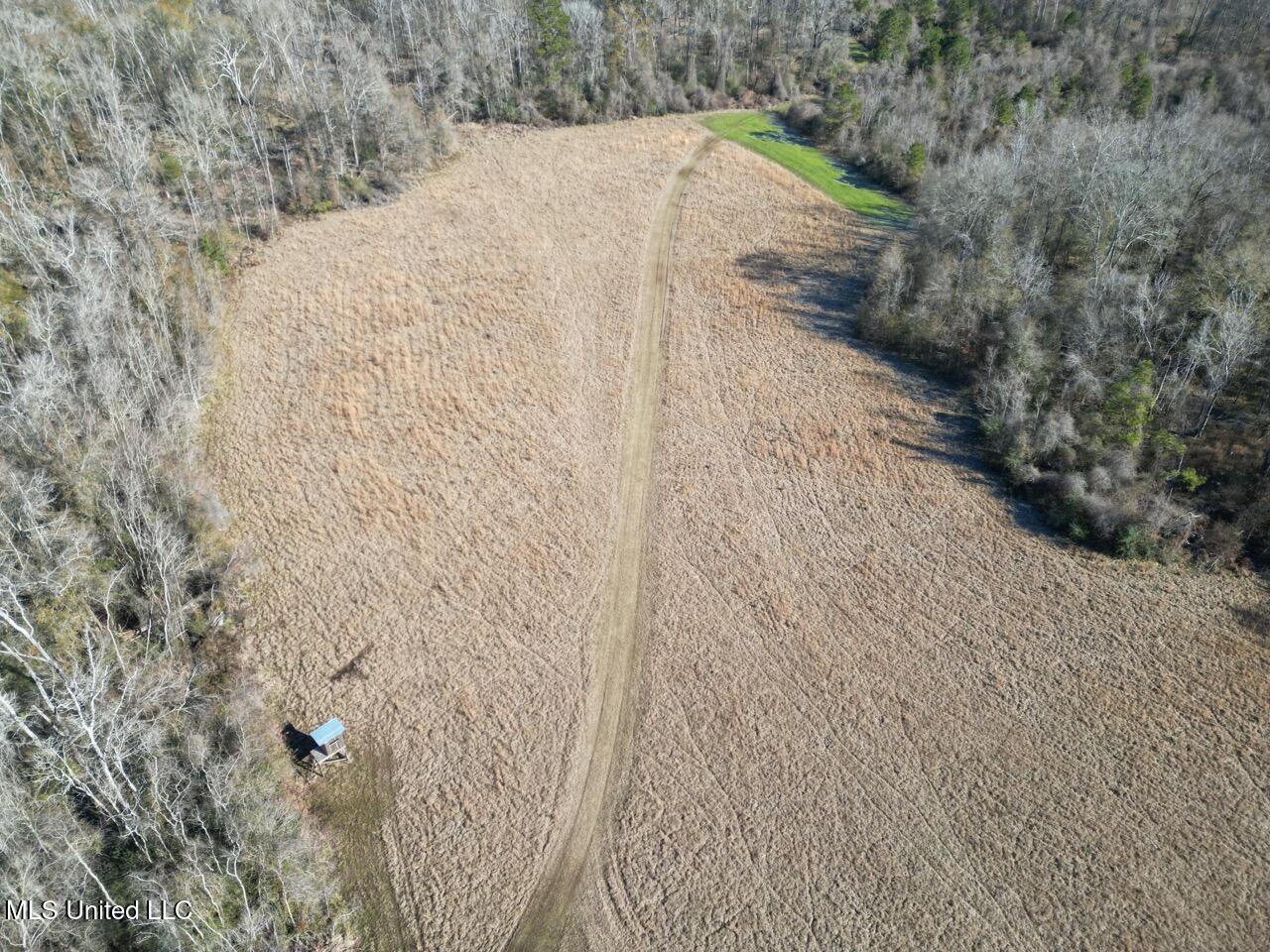 11311 Port Hudson-Pride Road Zachary, LA 70791 - Photo 12 of 41 DJI_0207 Large