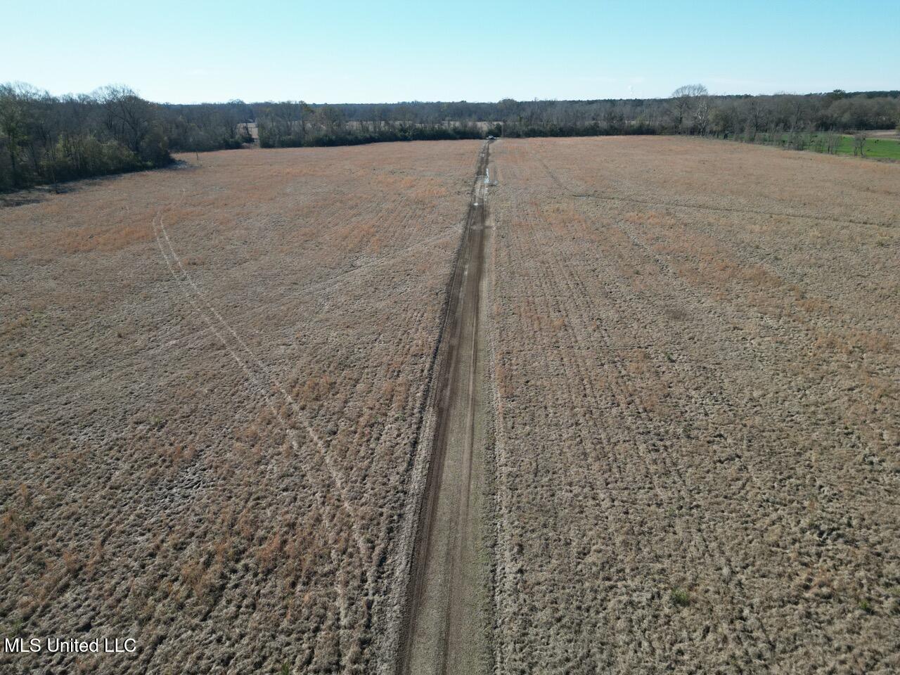 11311 Port Hudson-Pride Road Zachary, LA 70791 - Photo 14 of 41 DJI_0212 Large