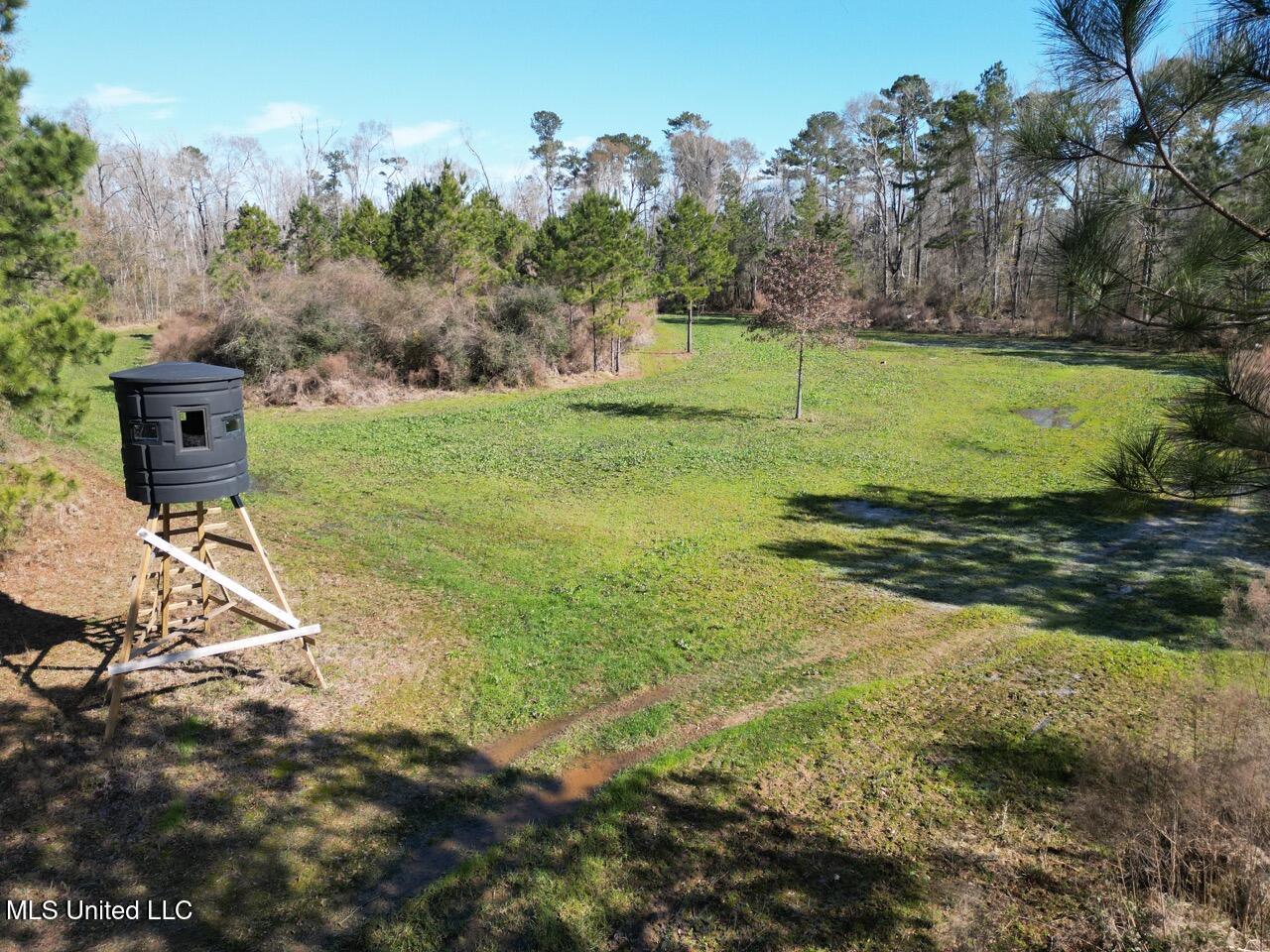 11311 Port Hudson-Pride Road Zachary, LA 70791 - Photo 15 of 41 DJI_0215 Large