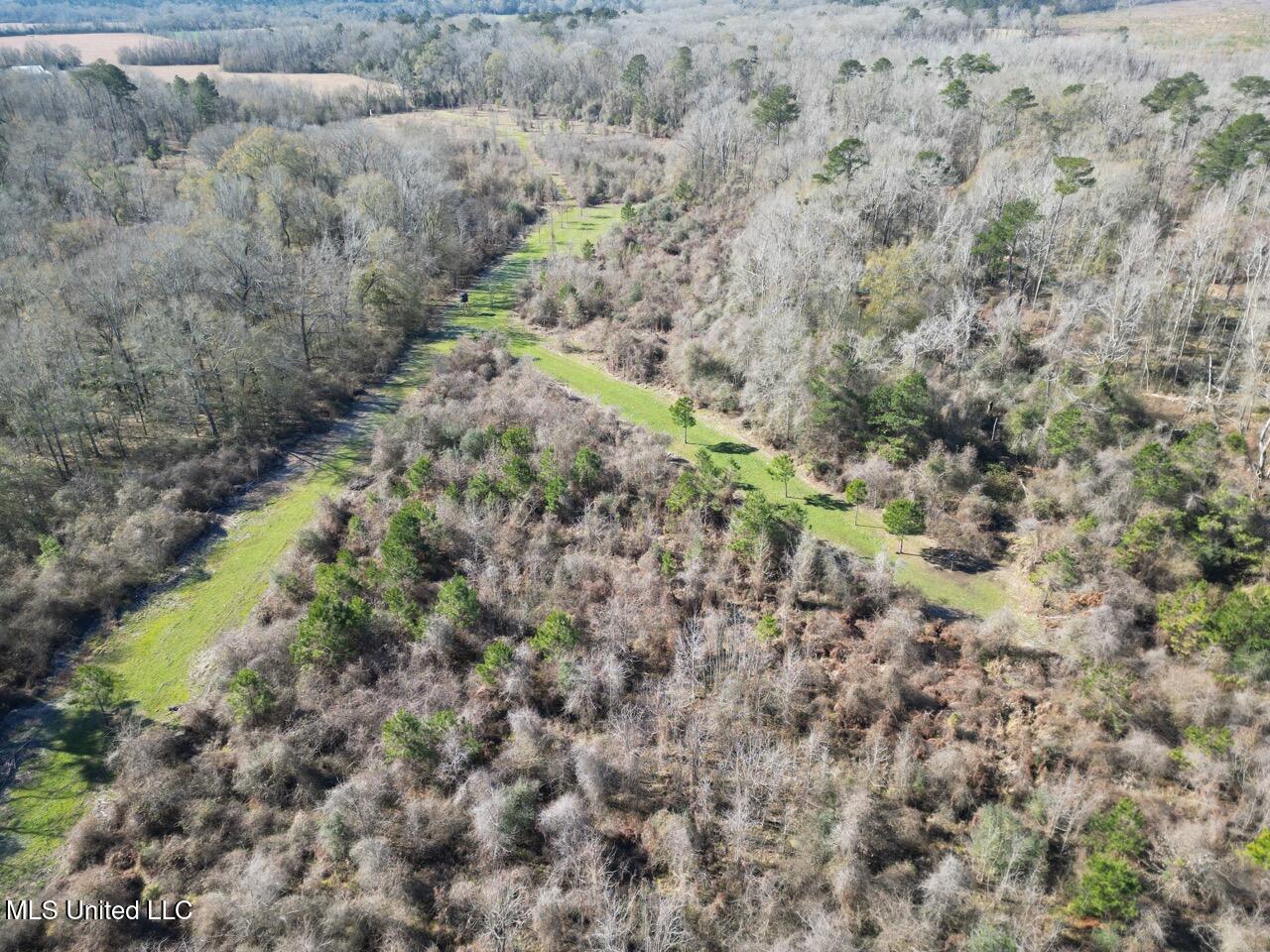 11311 Port Hudson-Pride Road Zachary, LA 70791 - Photo 18 of 41 DJI_0222 Large